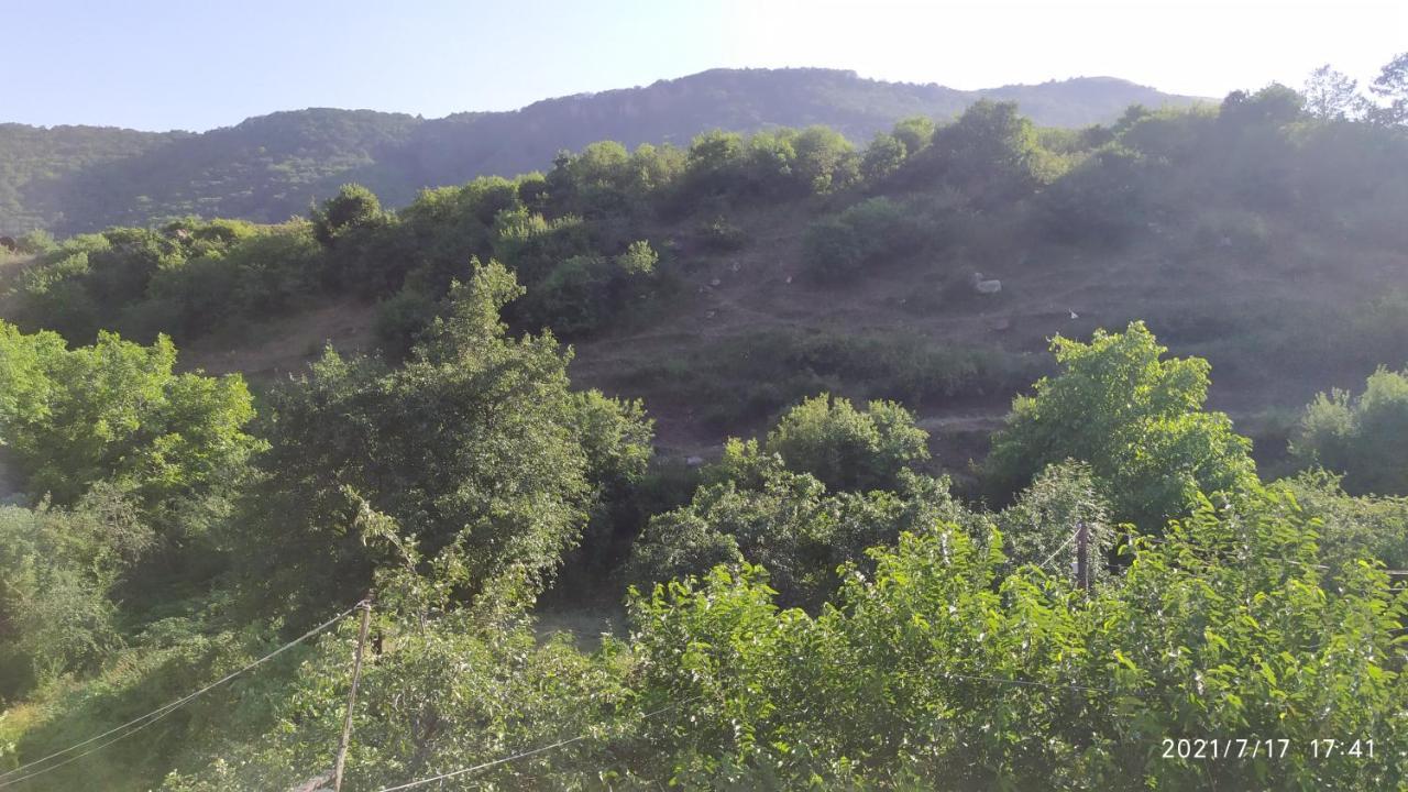 Verishen Guest House B&B Goris Exterior photo
